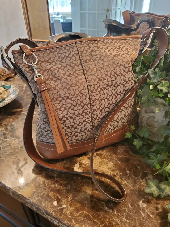 Coach Tan Leather Mini Logo Bag with Silver-tone Hardware - Picture 5 of 11